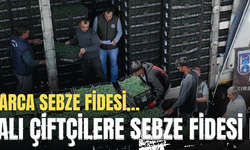 Ankaralı Çiftçilere Sebze Fidesi Desteği